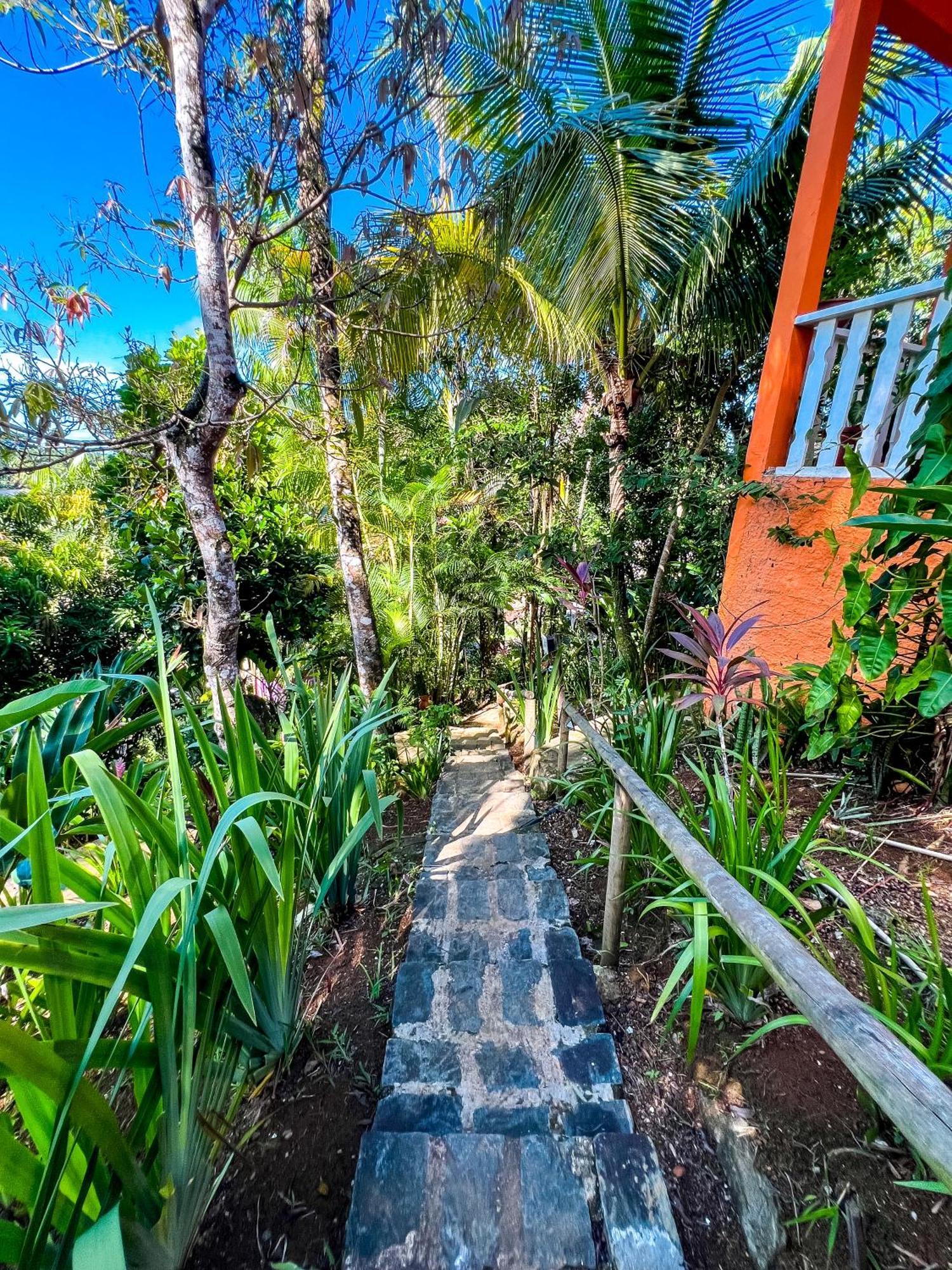 Hostel Zen - Casa Na Floresta Itacaré Kültér fotó