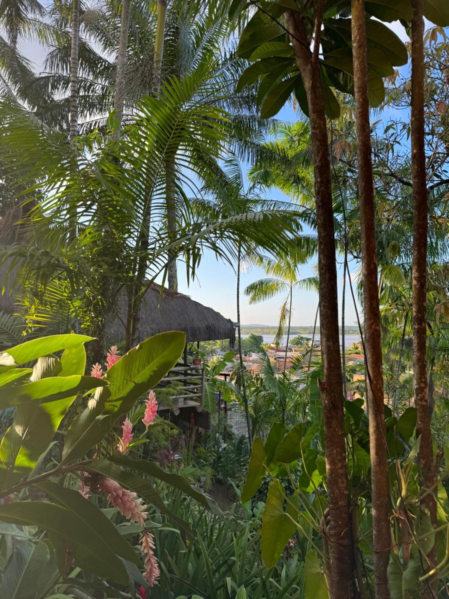 Hostel Zen - Casa Na Floresta Itacaré Kültér fotó