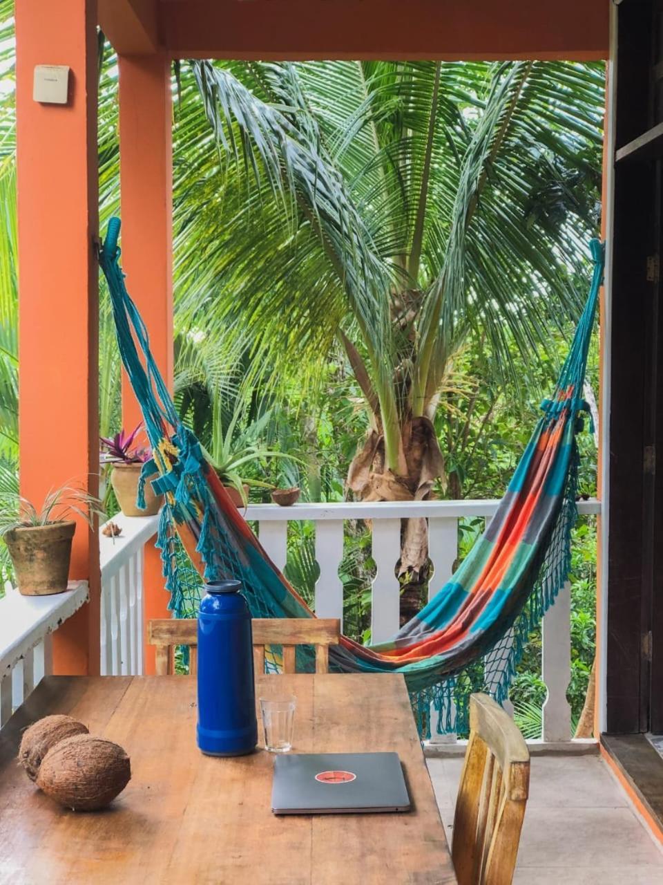 Hostel Zen - Casa Na Floresta Itacaré Kültér fotó
